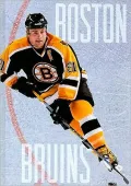 Story of the Boston Bruins
