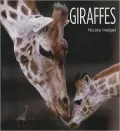 Giraffes