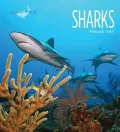 Sharks