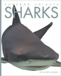 Sharks