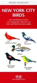 New York City Birds: An Introduction to Familiar Species in the Metropolitan Area