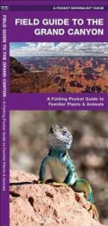 Field Guide to the Grand Canyon: An Introduction to Familiar Plants and Animals
