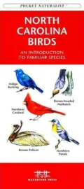 North Carolina Birds: An Introduction to Familiar Species