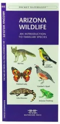 Pocket Naturalist: Arizona Wildlife, An Introduction to Familiar Species