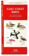 Gulf Coast Birds: An Introduction to Familiar Species