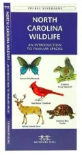 North Carolina Wildlife: An Introduction to Familiar Species (Pocket Naturalist Series)