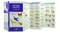Ontario Wildlife: An Introduction to Familiar Species