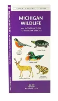 Michigan Wildlife: An Introduction to Familiar Species