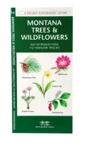 Montana Trees and Wildflowers: An Introduction to Familiar Species