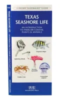 Texas Seashore Life: An Introduction to Familiar Species