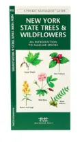 New York State Trees and Wildflowers: An Introduction to Familiar Species