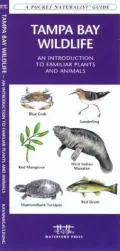 Tampa Bay Wildlife: An Introduction to Familiar Species of Marine Plants, Echinoderms, Mollusks, Crustaceans, Nearshore Fishes, Reptiles, Amphibians, and Marine Mammals