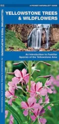 Yellowstone Trees and Wildflowers: An Introduction to Familiar Species of the Yellowstone Area