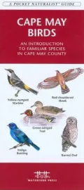 Cape May Birds: An Introduction to Familiar Species in Cape May County