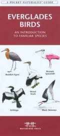 Everglades Birds: An Introduction to Familiar Species