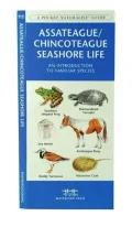 Assateague/Chincoteague Seashore Life: An Introduction to Familiar Plants & Animals