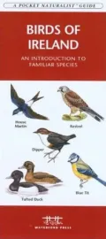 Birds of Ireland: An Introduction to Familiar Species
