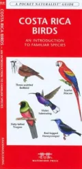 Costa Rica Birds: An Introduction to Familiar Species