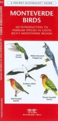 Monteverde Birds: An Introduction to Familiar Species in Costa Rica's Monteverde Region