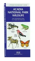Acadia National Park Wildlife: An Introduction to Familiar Species (Pocket Naturalist Series)