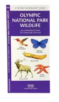 Olympic National Park Wildlife: An Introduction to Familiar Species