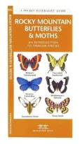 Rocky Mountain Butterflies and Moths: An Introduction to Familiar Species (Pocket Naturalist Series)