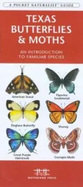 Texas Butterflies and Moths: An Introduction to Familiar Species