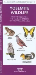 Pocket Naturalist Guide to Yosemite Wildlife: An Introduction to Familiar Species of the Yosemite Area