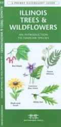 Illinois Trees and Wildflowers: An Introduction to Familiar Species (A Pocket Naturalist Guide Series)