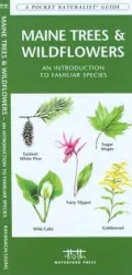 Maine Trees and Wildflowers: An Introduction to Familiar Species (Pocket Naturalist - Waterford Press)