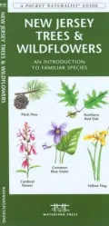 New Jersey Trees and Wildflowers: An Introduction to Familiar Species (Pocket Naturalist - Waterford Press Series)