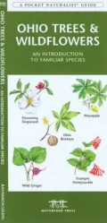 Ohio Trees and Wildflowers: An Introduction to Familiar Species (Pocket Naturalist - Waterford Press)