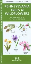 Pennsylvania Trees and Wildflowers: An Introduction to Familiar Species (Pocket Naturalist - Waterford Press)