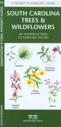 South Carolina Trees and Wildflowers: An Introduction to Familiar Species (Pocket Naturalist - Waterford Press)