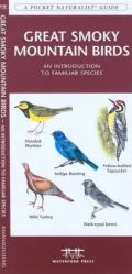 Great Smoky Mountain Birds: An Introduction to Familiar species (Pocket Naturalist Series)