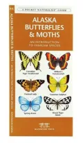 Alaska Butterflies and Moths: An Introduction to Familiar Species (Pocket Naturalist Series)
