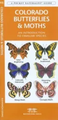 Colorado Butterflies and Moths: An Introduction to Familiar Species (Pocket Naturalist Series)