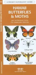 Hawaii Butterflies and Moths: An Introduction to Familiar Species (Pocket Naturalist Series)