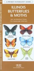 Illinois Butterflies and Moths: An Introduction to Familiar Species (Pocket Naturalist Series)