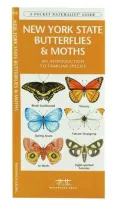 New York State Butterflies and Moths: An Introduction to Familiar Species (Pocket Naturalist Series)