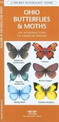 Ohio Butterflies and Moths: An Introduction to Familiar Species (Pocket Naturalist Series)