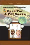 Care for a Pet Snake