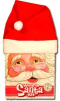 Write To Santa Kit