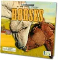 Horses (Groovy Tube Book Series)