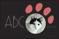 ABC (cat)
