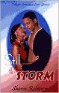 Still the Storm
