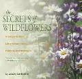 Secrets of Wildflowers A Delightful Feast of Little-Known Facts, Folklore, and History
