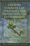 Creative Common Law Strategies for Protecting the Environment
