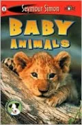 Baby Animals