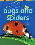 Bugs and Spiders